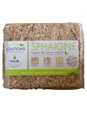 Sphaigne du Chili déshydratée, 500g