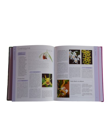 Petit Larousse des Orchidées 2