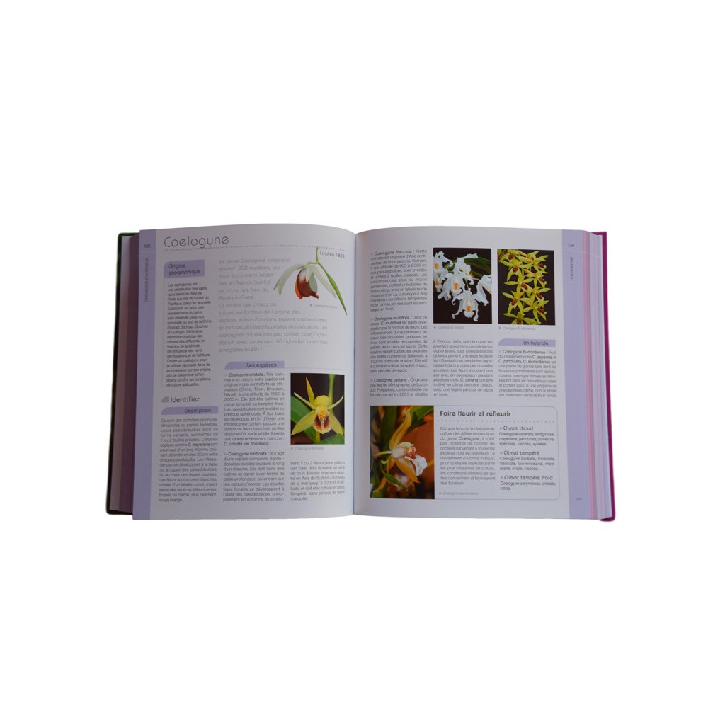 Petit Larousse des Orchidées
