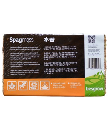 Sphaigne de Nouvelle-Zélande déshydratée et compressée, 100g 2