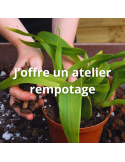 J\'offre un atelier rempotage, la date reste à définir