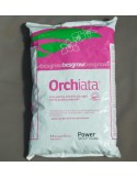 Orchiata Power