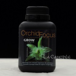 Engrais Orchid Focus croissance