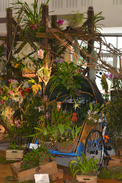DSC_2411_resize.JPG