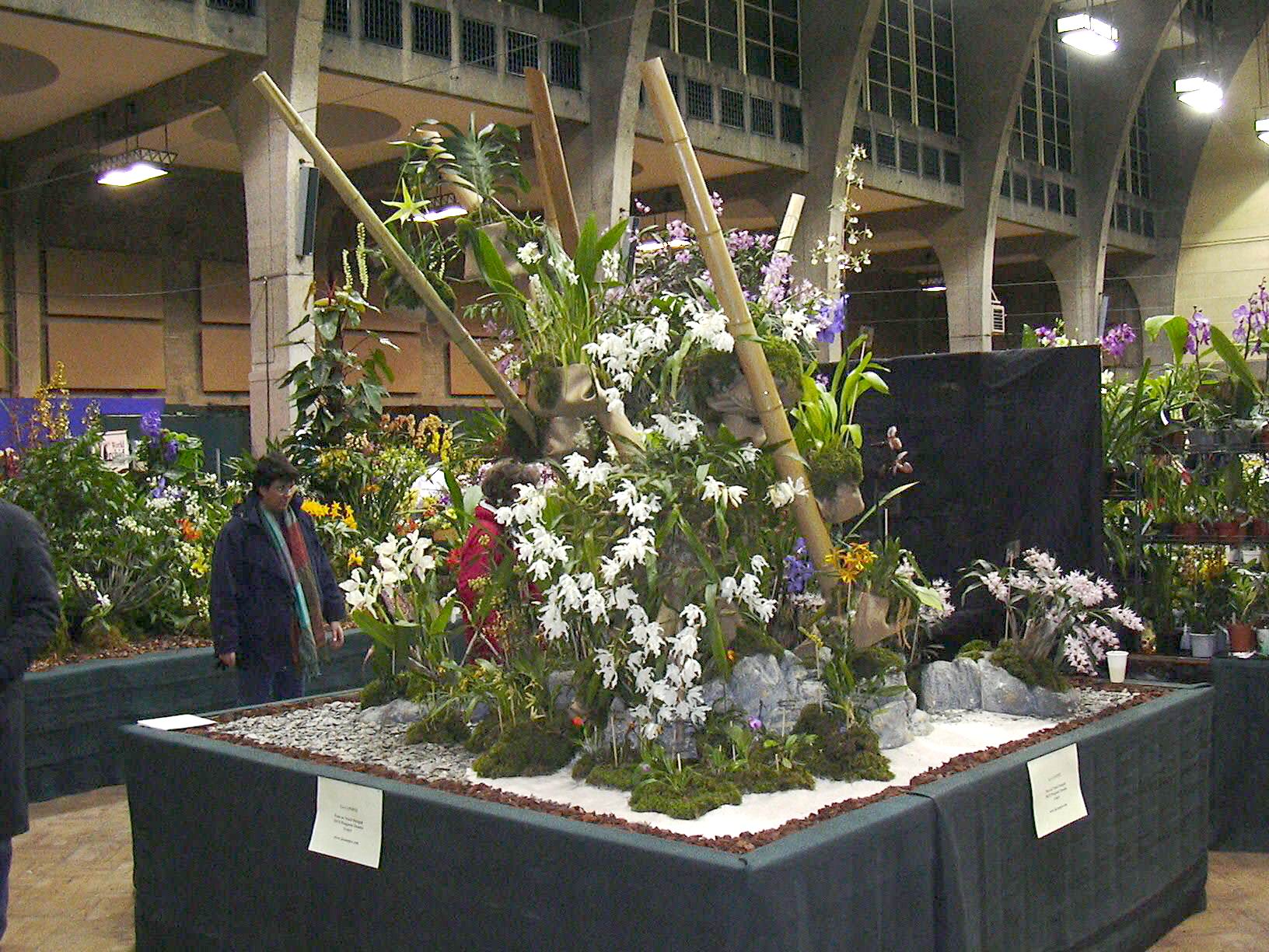 Décor London Orchid Show 2004