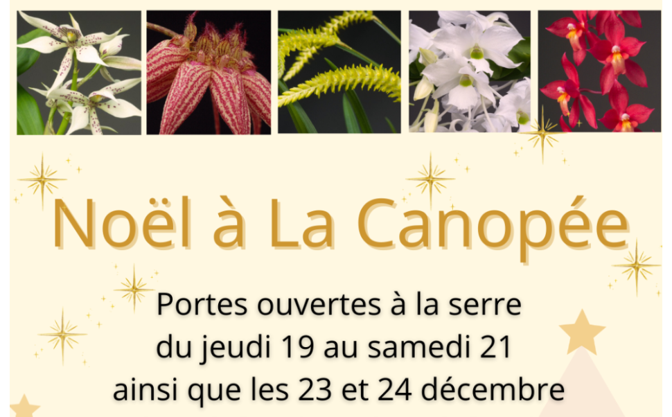 Portes ouvertes de Noël Portes ouvertes de Noël