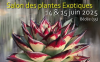 Salon des plantes exotiques Bédée 14 et 15 Juin 2025