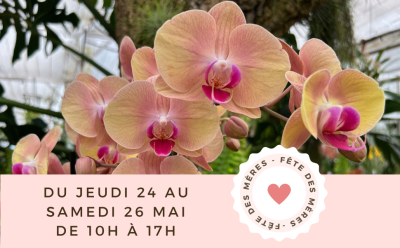 Portes ouvertes Fête des mères
