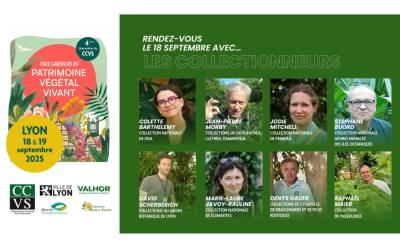 Universités du CCVS
