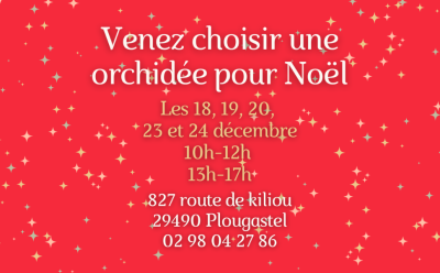 Portes ouvertes Noël