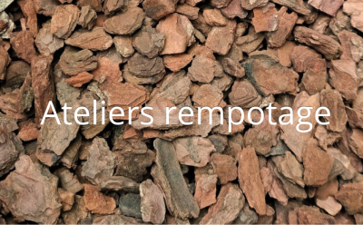 Ateliers rempotage 